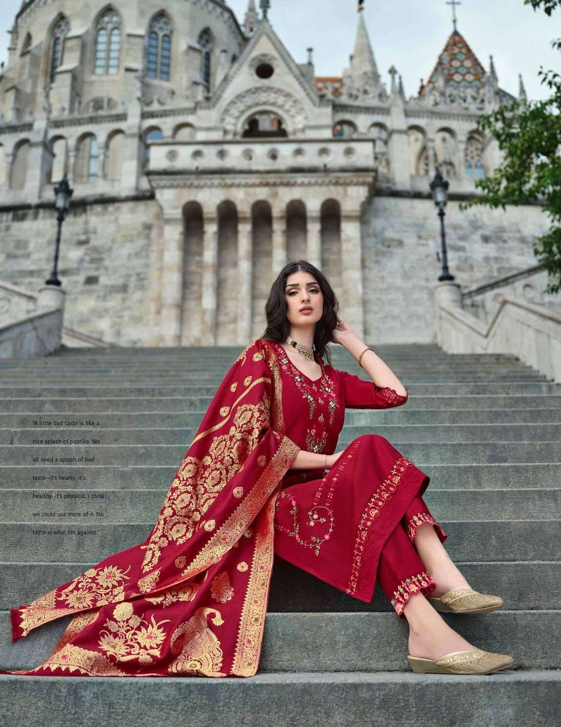 HM- 20304 LL ORGANZA CUTWORK LACE WITH EMBROIDERY WORK 