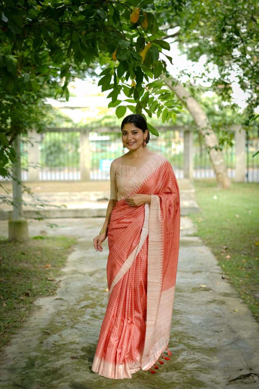 SOFT TUSSAR SILK SAREE WITH ALL OVER CHEKS PRINTED PATTERN AND KANTH WEAVING CONTRAST BORDER WITH KANTHA LINNING PALLU