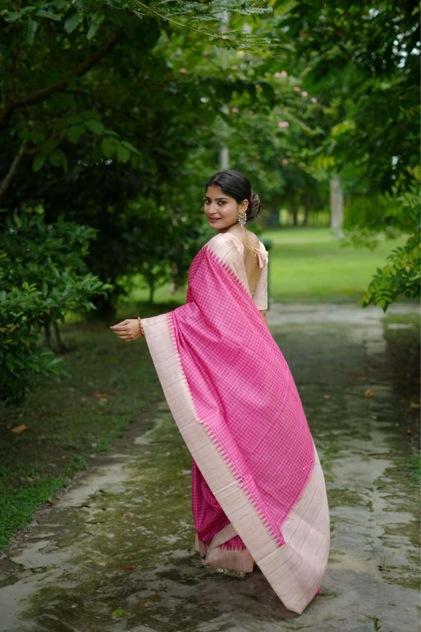 SOFT TUSSAR SILK SAREE WITH ALL OVER CHEKS PRINTED PATTERN AND KANTH WEAVING CONTRAST BORDER WITH KANTHA LINNING PALLU