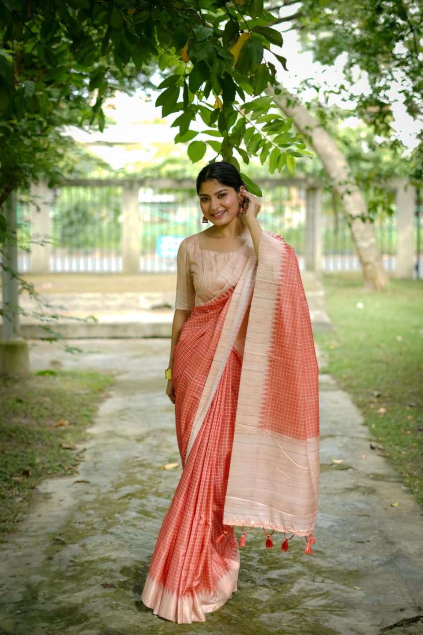 SOFT TUSSAR SILK SAREE WITH ALL OVER CHEKS PRINTED PATTERN AND KANTH WEAVING CONTRAST BORDER WITH KANTHA LINNING PALLU